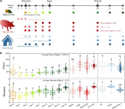 Selective Maternal Seeding and Rearing Environment From Birth to Weaning Shape the Developing Piglet Gut Microbiome